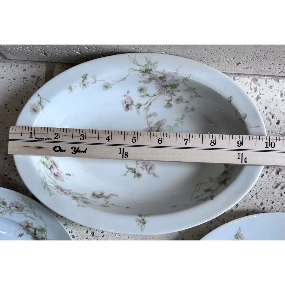 Vintage GDA CH Field Haviland Limoges France Floral Dinner Plates & Serving Dish